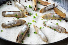 蟶子,蟶子的做法,蟶子怎么做