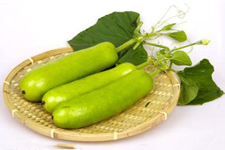 瓠瓜的做法大全