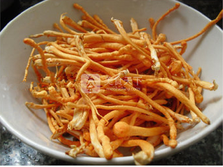 蟲(chóng)草花燉雞