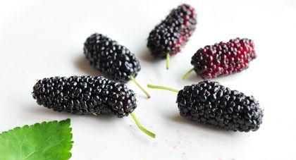 腎功能不好吃什么 www.6a8a.com