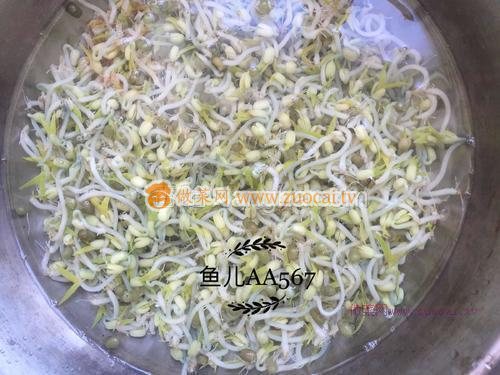 涼拌豆芽的做法