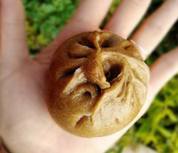 黑小麥的營養(yǎng)價(jià)值 黑小麥?zhǔn)鞘裁?黑小麥與普通小麥的區(qū)別