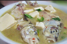 鯽魚(yú)燉豆腐