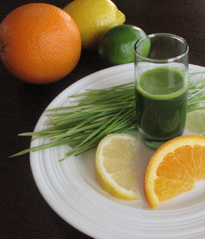 小麥草粉怎么吃 小麥草粉的作用 小麥草粉哪個(gè)牌子好