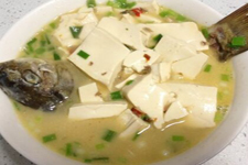 鯽魚(yú)燉豆腐