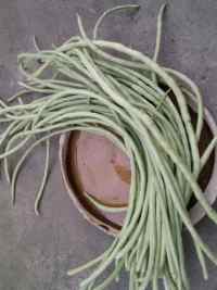 腌酸豆角的做法步驟1