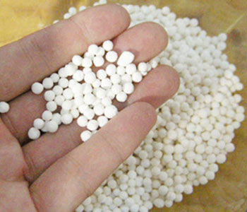 西米的作用 西米的營養(yǎng)價值 西米的熱量 西米怎么洗