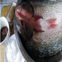 自制臘魚(yú)的做法步驟1