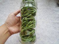 腌酸豆角的做法步驟7