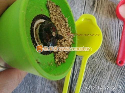 芝麻薄脆餅(無油無糖)的做法