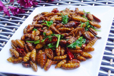 蠶蛹怎么做好吃