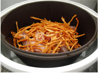 蟲(chóng)草花燉雞