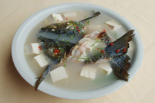 燉魚(yú)頭,燉魚(yú)頭湯