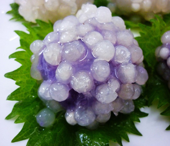 西米怎么煮好吃 西米怎么煮透明 西米的作用