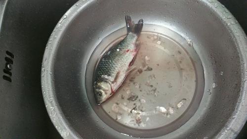干鍋鯽魚的做法