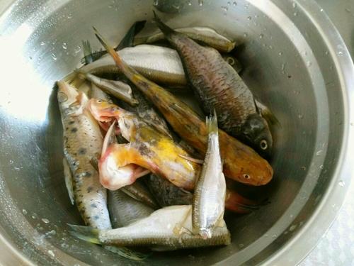 黃豆燒魚(yú)的做法