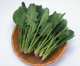 吃什么食物可以長(zhǎng)高