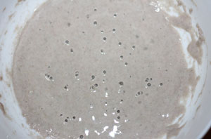 黑麥天然酵種養(yǎng)成方法及成功要點