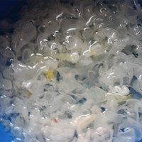 我和霧霾作斗爭(zhēng)---山里紅銀耳玫瑰飲的做法圖解2