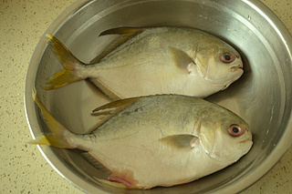 紅燒魚(yú)的做法步驟：1