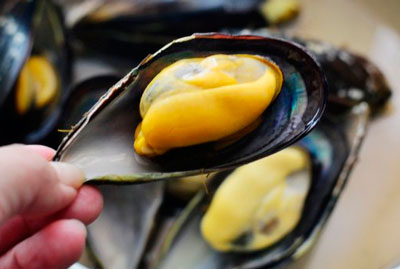新鮮貽貝怎么洗干凈,貽貝的正確清洗方法