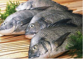 怎樣讓買來的活魚多放幾天？ 讓買來的活魚多放幾天的竅門