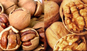 薄皮核桃和紙皮核桃如何輕松識別 薄皮核桃和紙皮核桃的識別方法