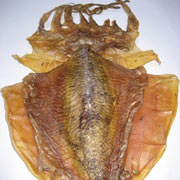 干墨魚(yú)