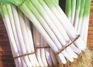 大蔥的養(yǎng)生功效驚人 常吃大蔥有哪些養(yǎng)生保健功效