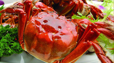 陽(yáng)澄湖大閘蟹的做法