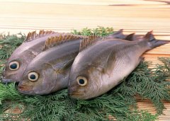 海魚(yú)怎么做不腥