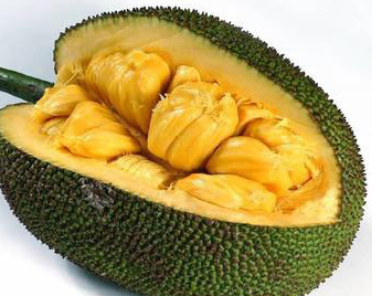 菠蘿蜜和榴蓮的區(qū)別在哪里 有圖片對比