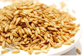 常吃五種雜糧勝過吃補藥 最滋養(yǎng)五臟的雜糧食譜推薦