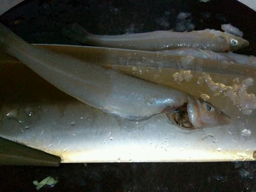 干煎沙丁魚的做法