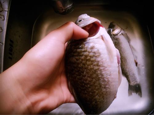 麻辣鯽魚(yú)的做法