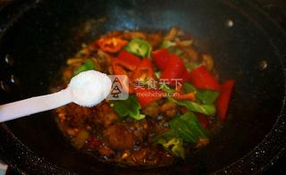 黃燜雞-----絕對秒殺餐館味道的做法步驟:15