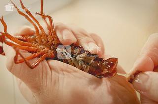 麻辣小龍蝦-九陽知食的做法步驟:2