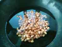 芹菜拌花生米的做法步驟3