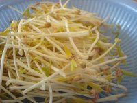 涼拌自發(fā)綠豆芽的做法步驟10