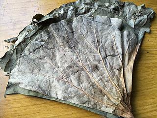 糯米雞--換種方式，照顧你的胃的做法步驟：12