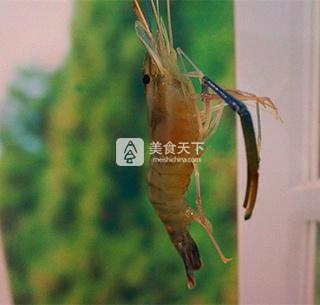 私房鹽水蝦的做法步驟:1