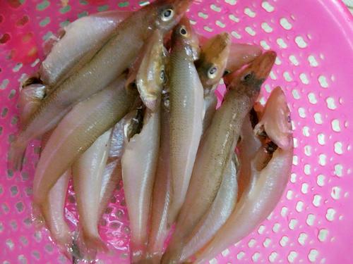 干煎沙丁魚的做法