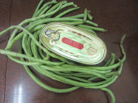 豆豉鯪魚(yú)炒豆角的做法步驟1