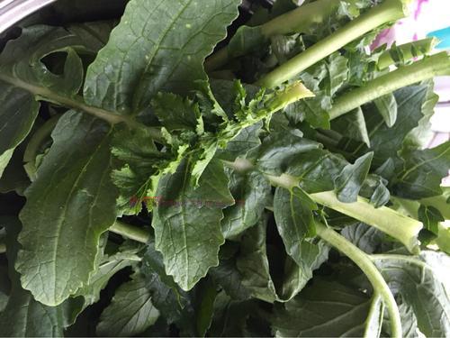 蘿卜莖葉餡南瓜皮包子的做法