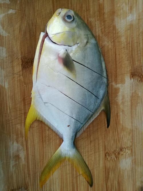 干燒金鯧魚的做法