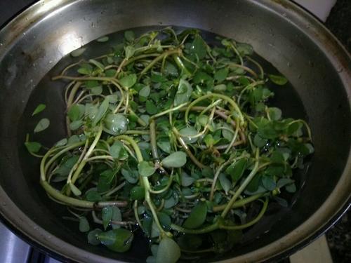 馬齒莧團(tuán)子的做法