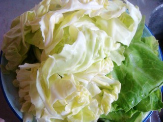 【湘菜】--干鍋手撕包菜的做法步驟：2