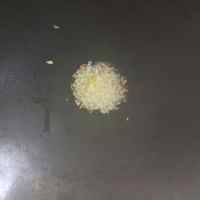 姜蒜爆蝦仁的做法步驟4