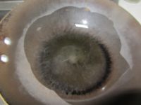 香菇豆干燒野鴨的做法步驟8