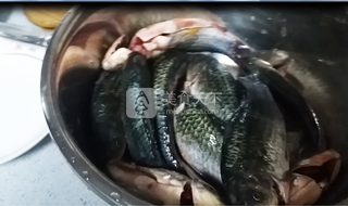 京津名吃、家鄉(xiāng)回憶--紅燜鯽魚的做法步驟：1